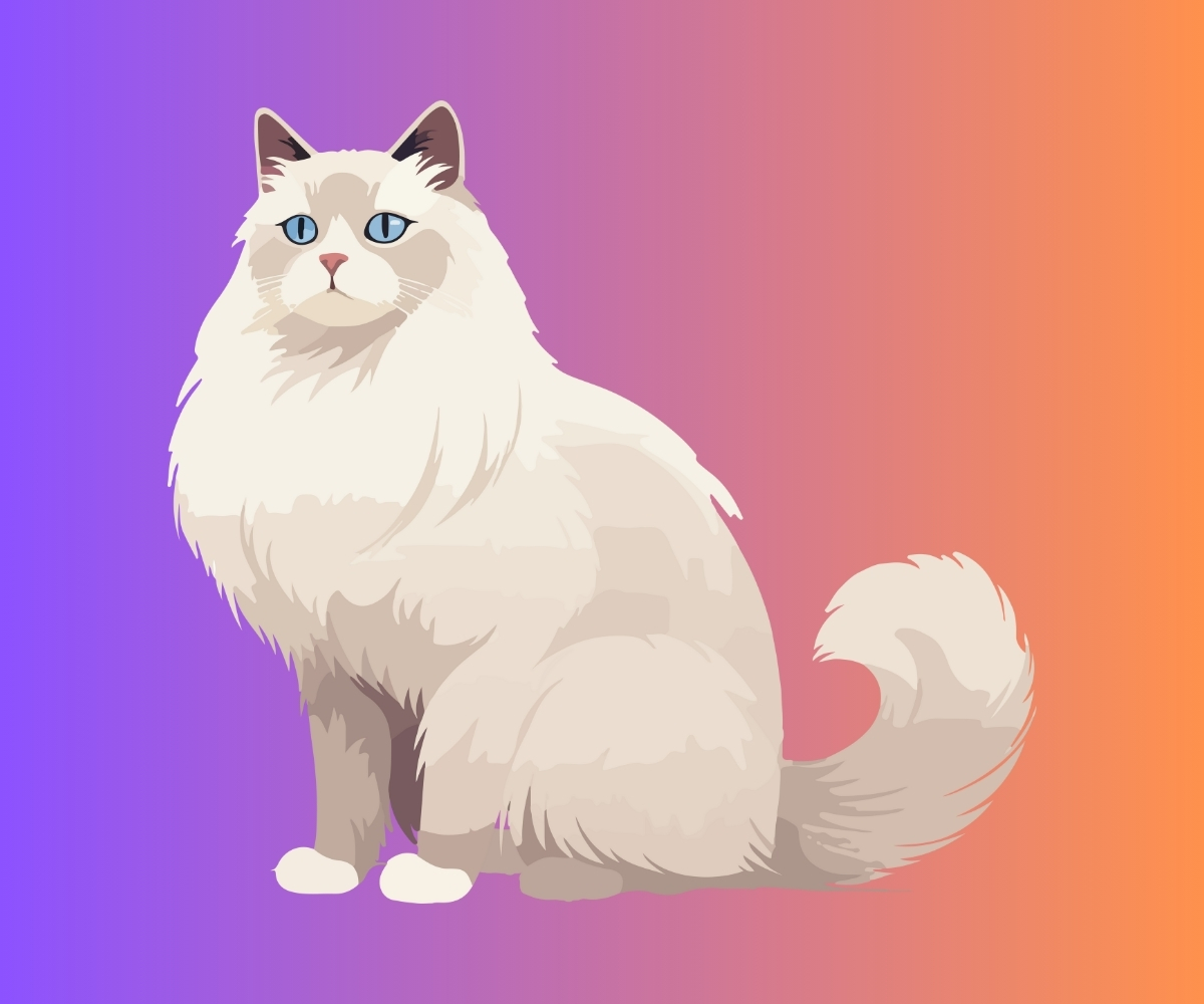 Makanan Kucing Anggora Alami: Panduan Lengkap