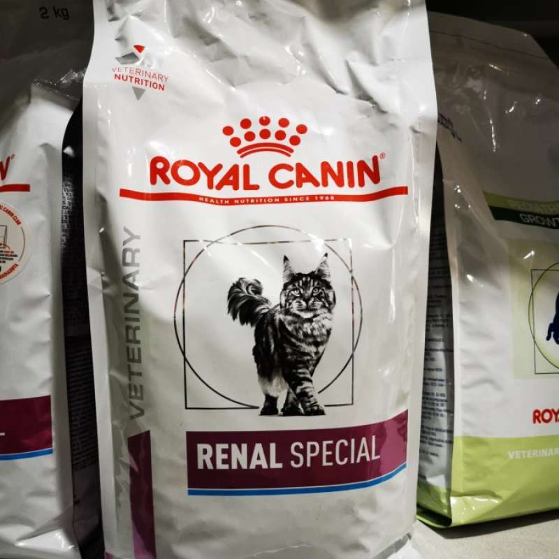 Makanan Spesial Kucing Citampi: Solusi Alami untuk Kesehatan Optimal