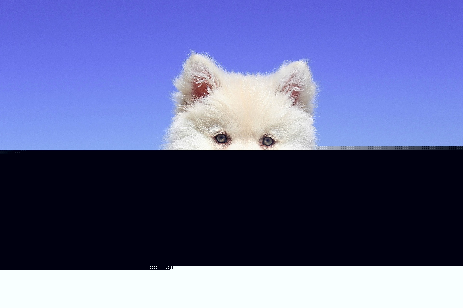 Natural Dog Care: A Comprehensive Guide