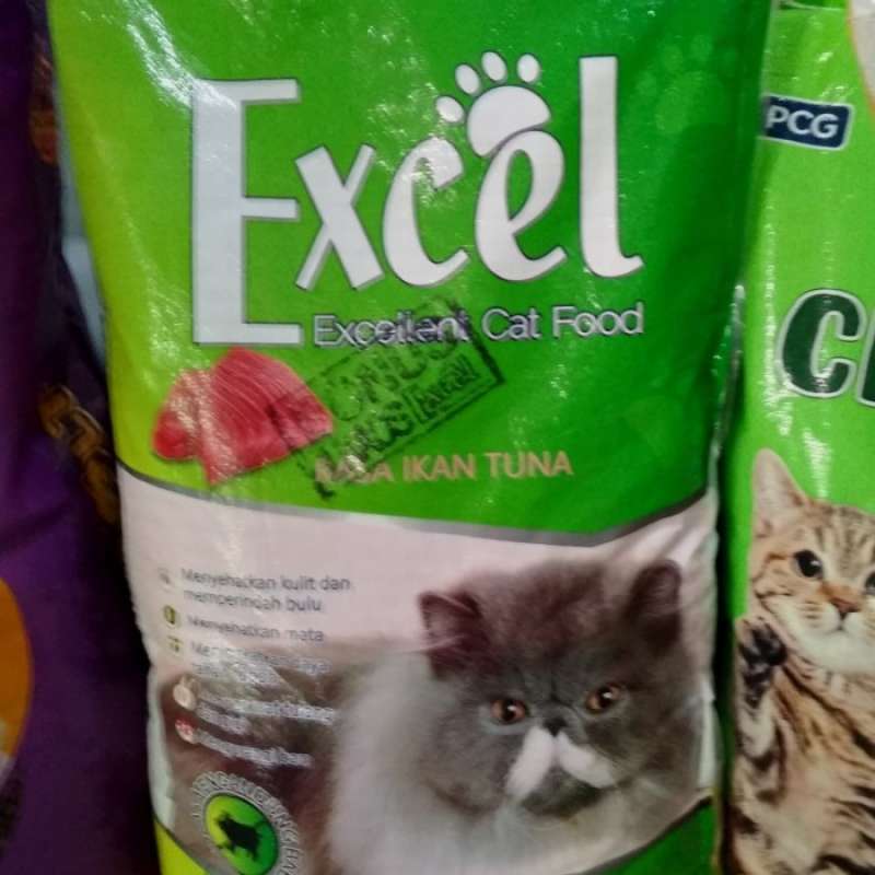 Makanan Kucing Excel: Memahami Kebutuhan Nutrisi Berdasarkan Usia