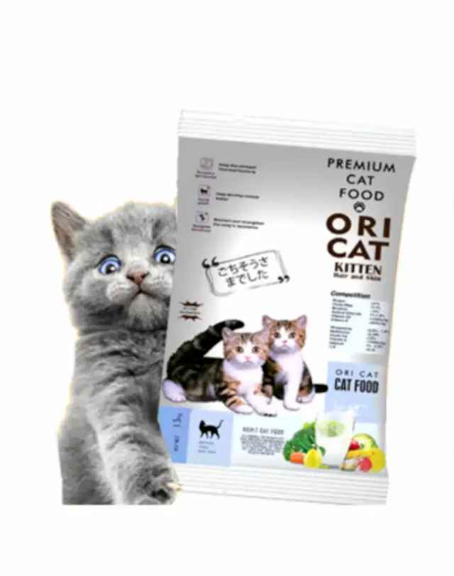 Tips Cerdas Memilih Grosir Makanan Kucing Murah di Bandung