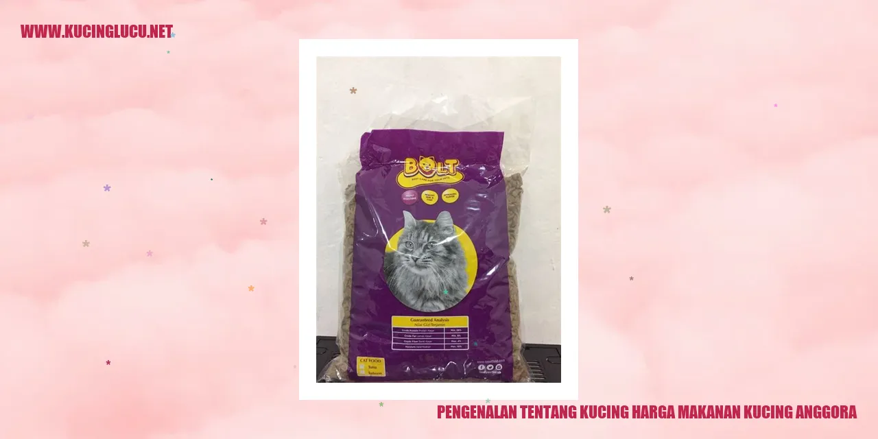 Panduan Pemberian Makanan Kucing Anggora 2 Bulan: Alami dan Tepat