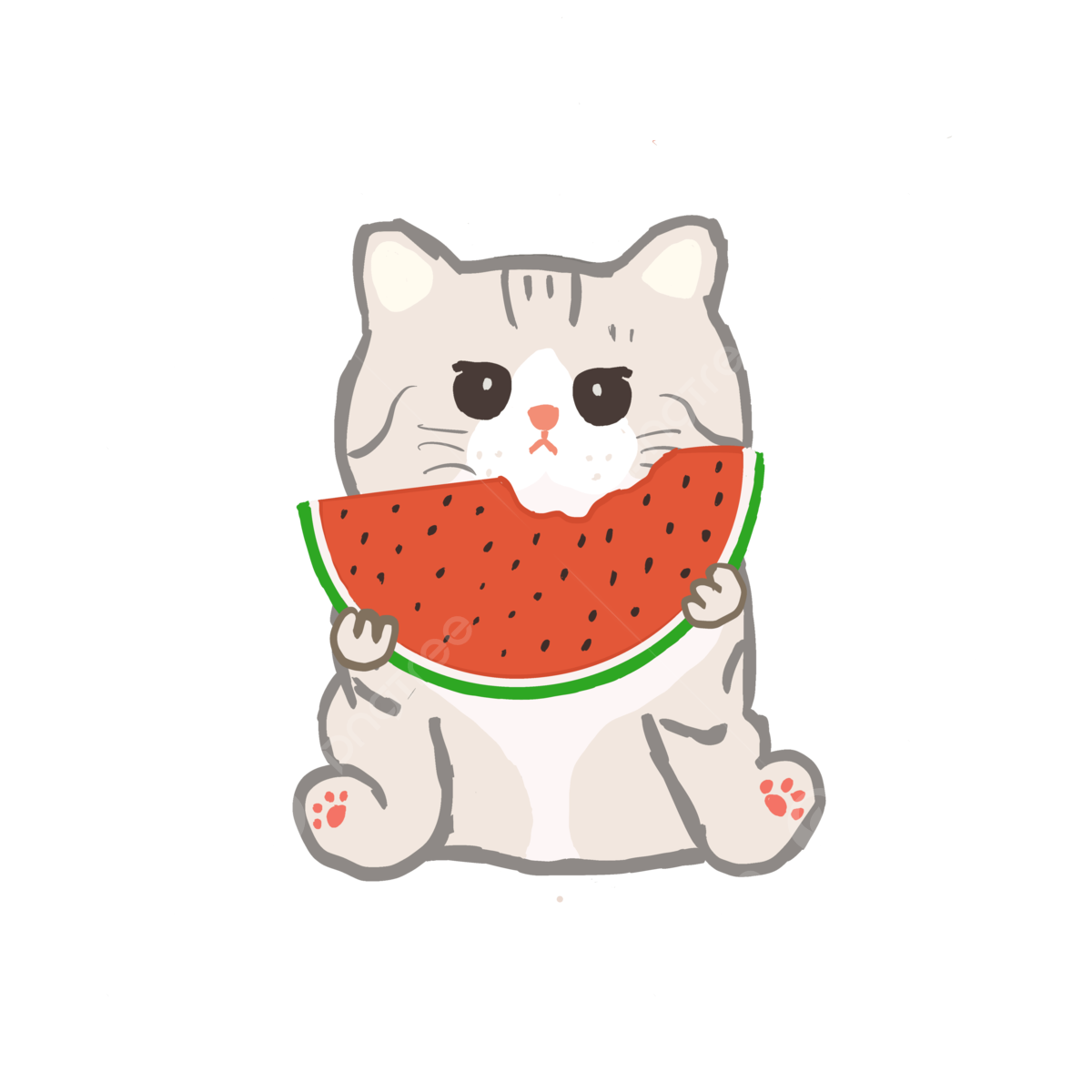 Memilih Makanan Kucing Terdekat dengan Bahan Alami