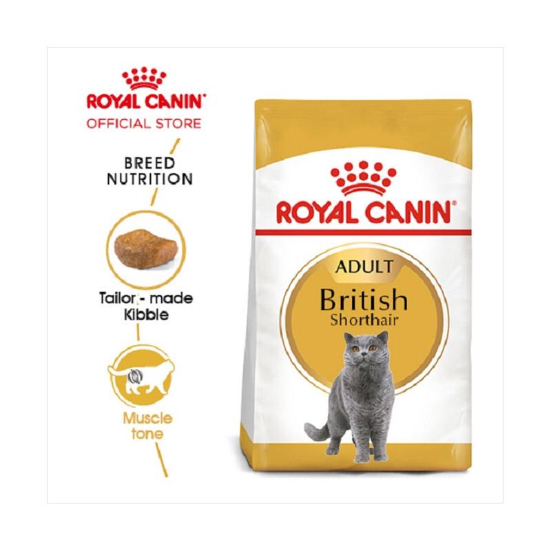 Nutrisi Optimal untuk Kucing Dewasa dengan Royal Canin Adult
