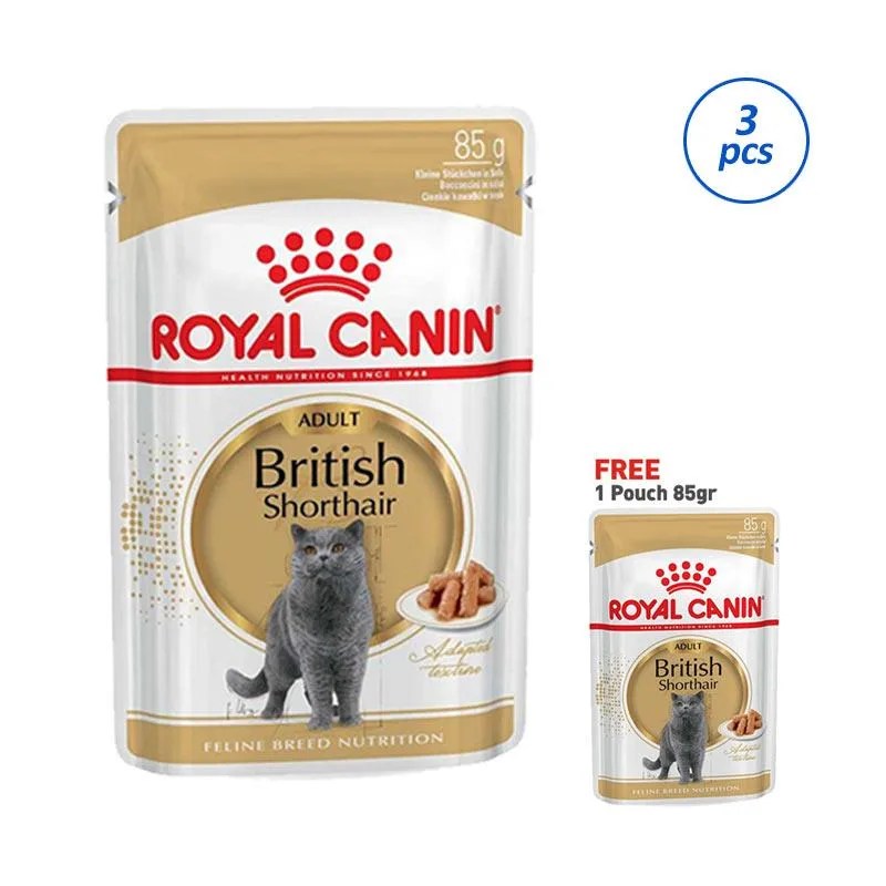 Memahami Manfaat Optimal Makanan Kucing Royal Cat