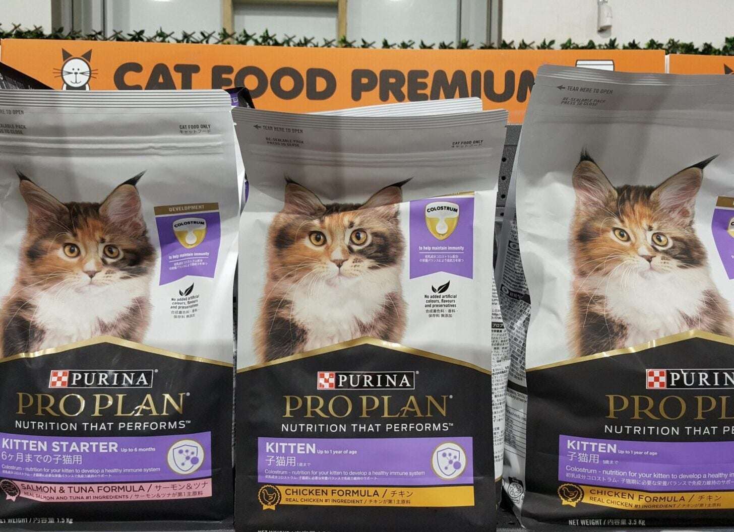 Makanan Basah Kucing: Solusi Alami untuk Menaikkan Berat Badan Kucing Secara Merata
