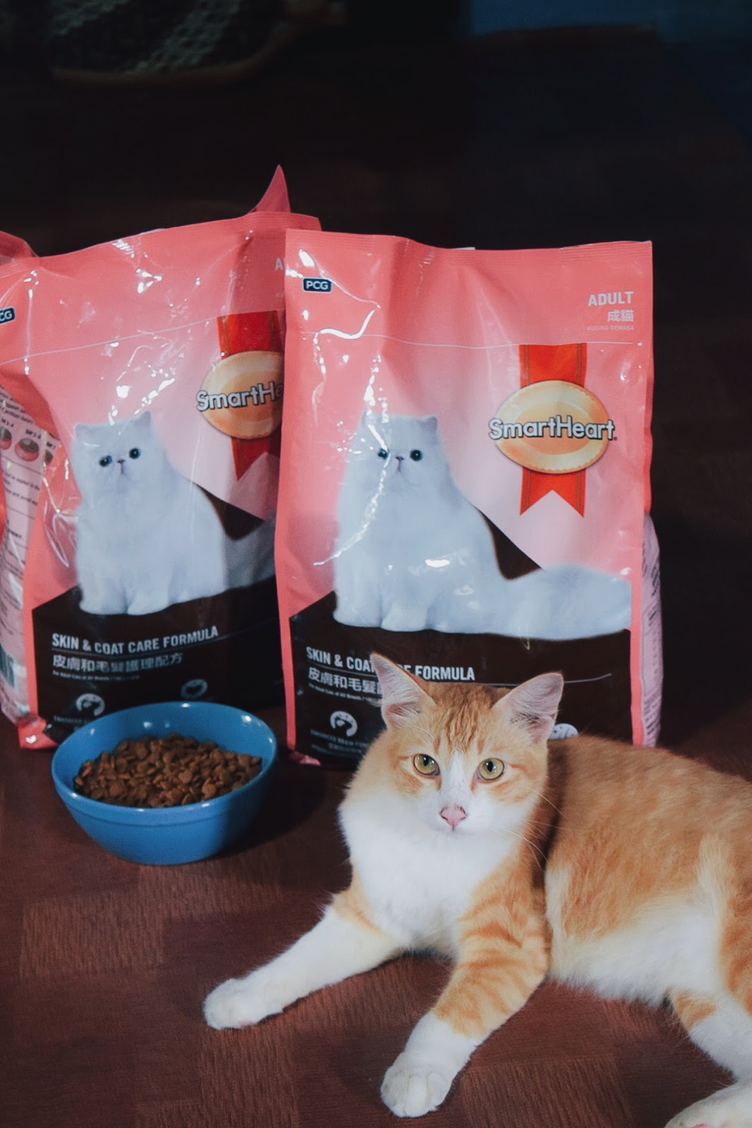 Makanan Kucing Lotus: Pilihan Alami untuk Kesehatan Optimal