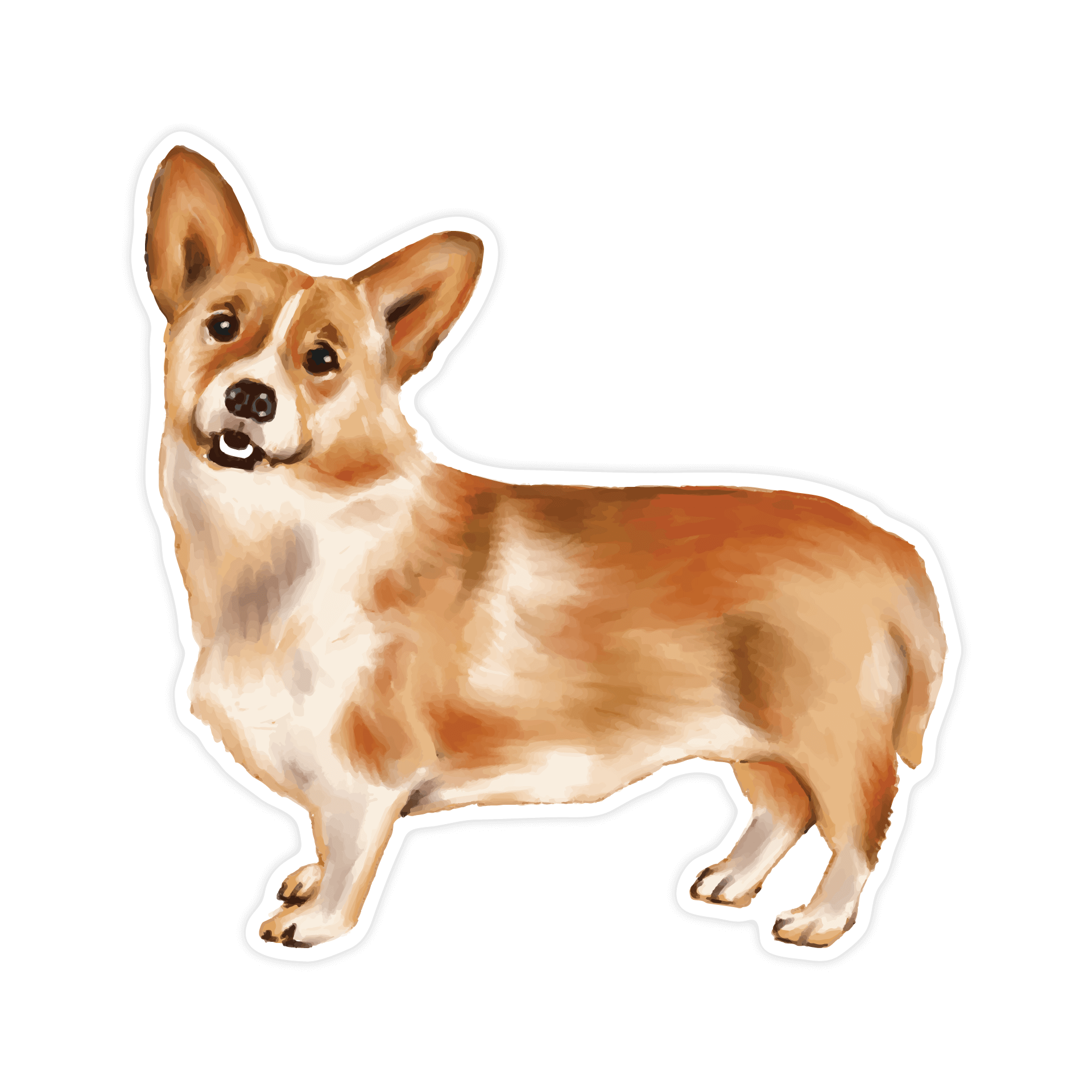 Perawatan Anjing Corgi Secara Alami: Panduan Lengkap