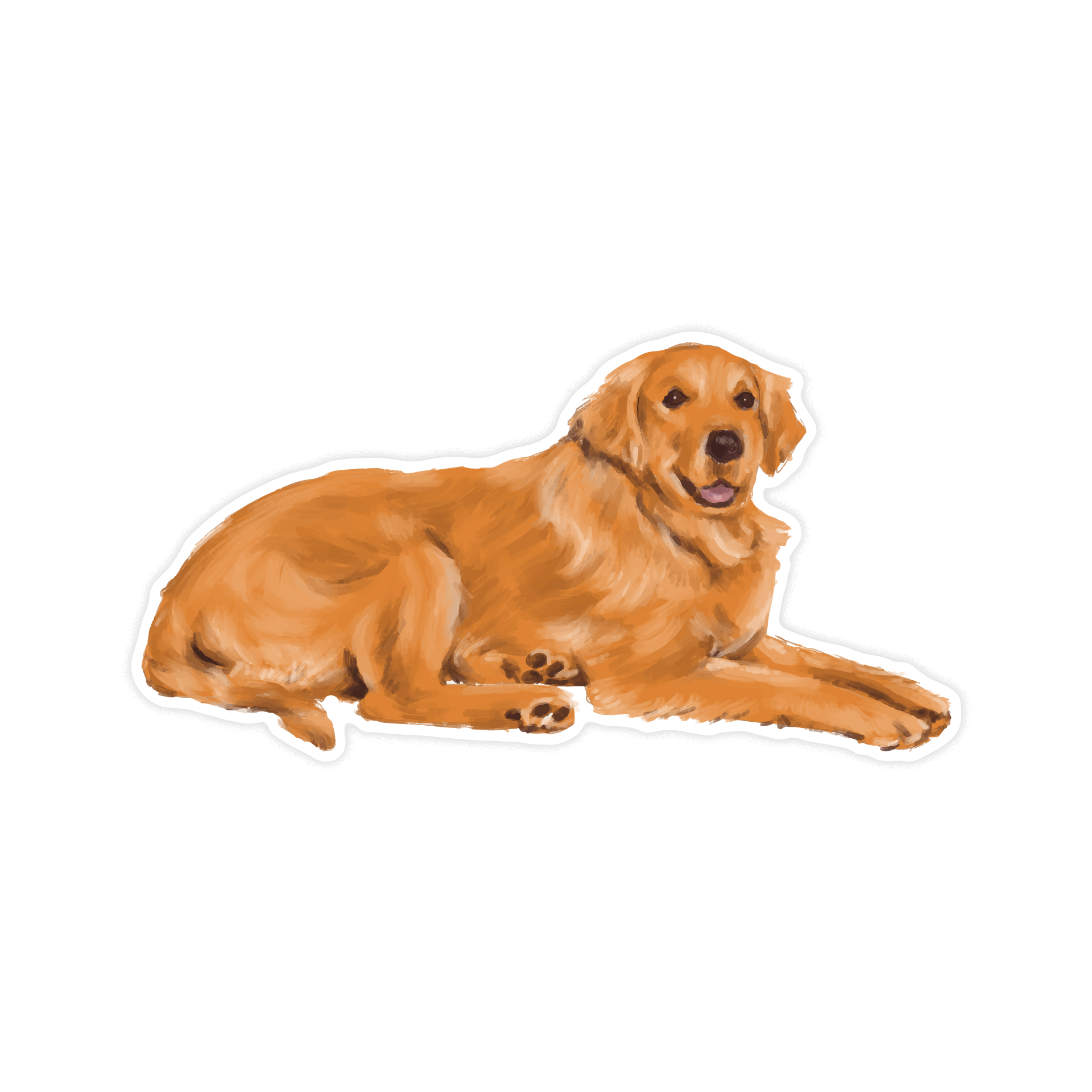 Memilih Makanan Anjing Golden Retriever Terbaik: Fokus Alami