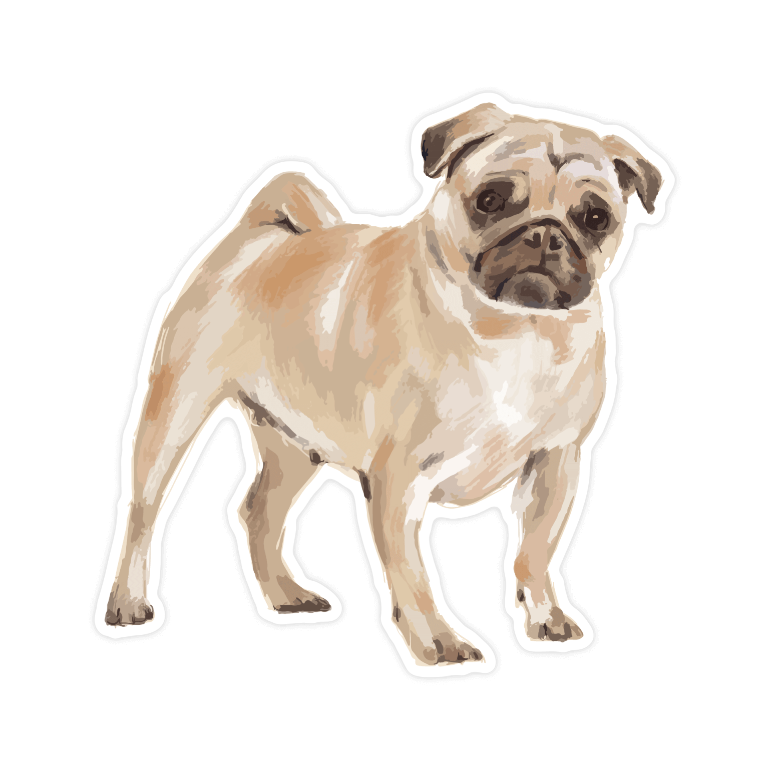 Memelihara Anjing Pug dengan Pendekatan Alami: Kesehatan dan Kebahagiaan yang Optimal