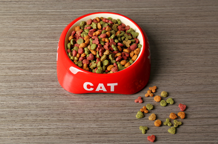 Makanan Kucing Meo Alami: Nutrisi Optimal untuk Kesehatan Si Kucing