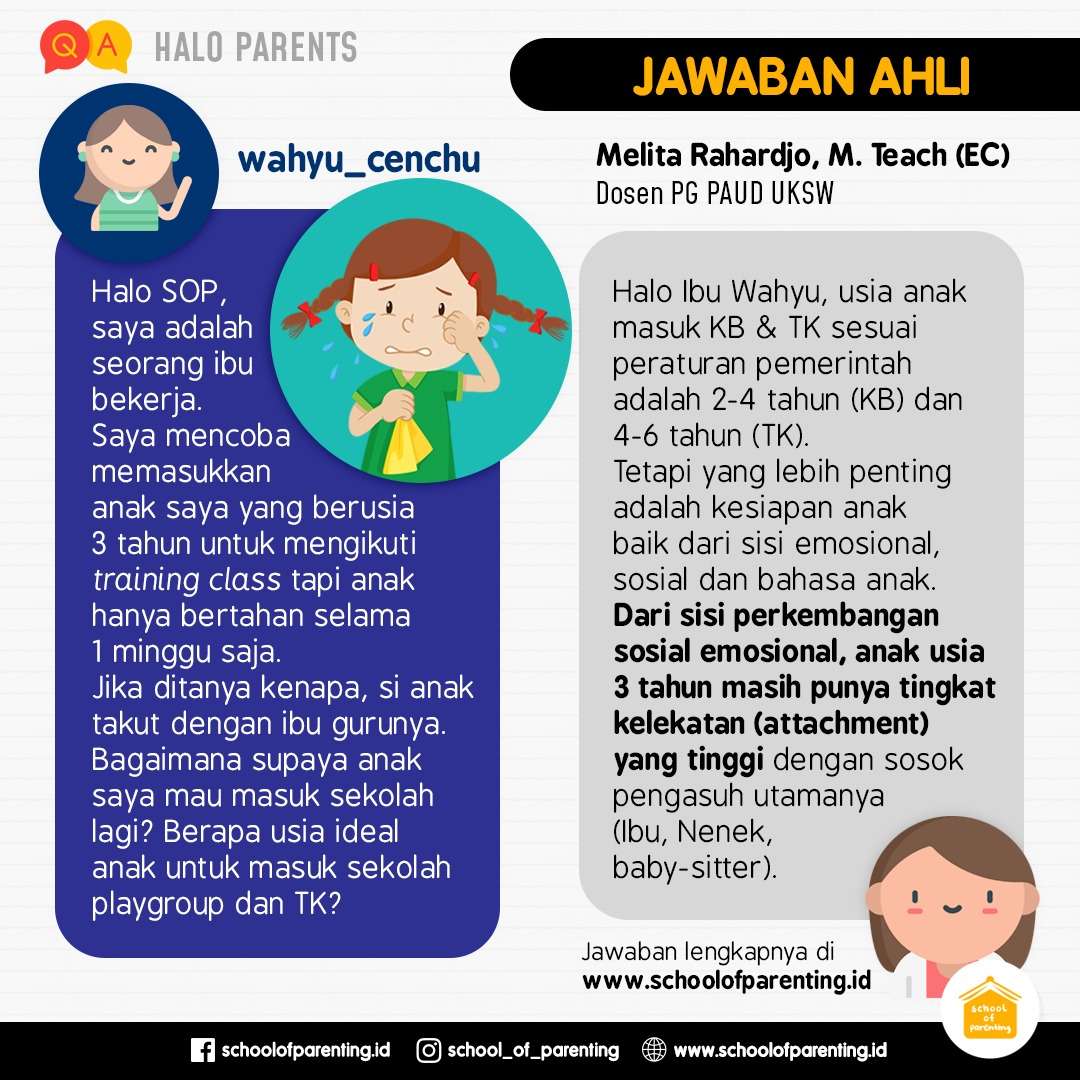 Kapan Kucing Beralih ke Makanan Adult? Panduan Lengkap