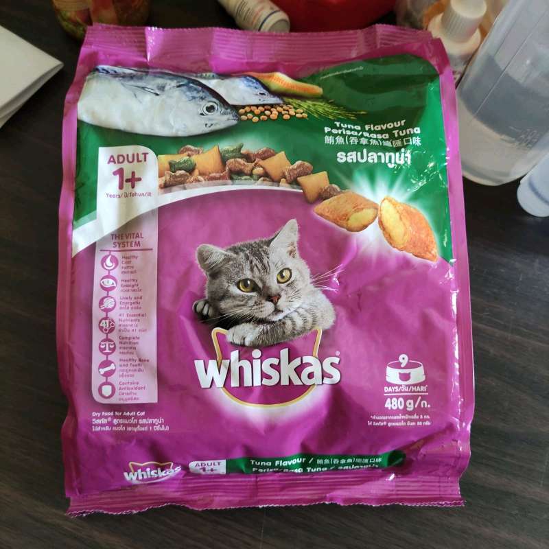 Memahami Lebih Dalam Makanan Kucing Kering: Pilihan Praktis untuk Kucing Kesayangan Anda