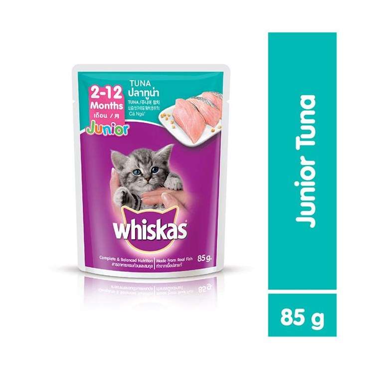 Makanan Basah untuk Kucing Tua: Solusi Alami dan Bergizi